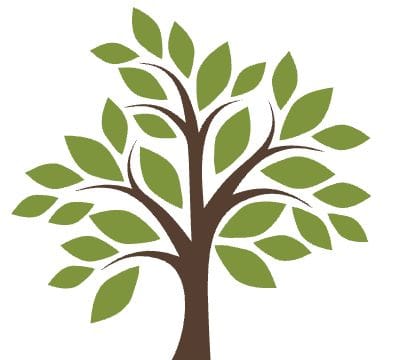 riyo.live-Contant Creation for Digital Marketing-tree png